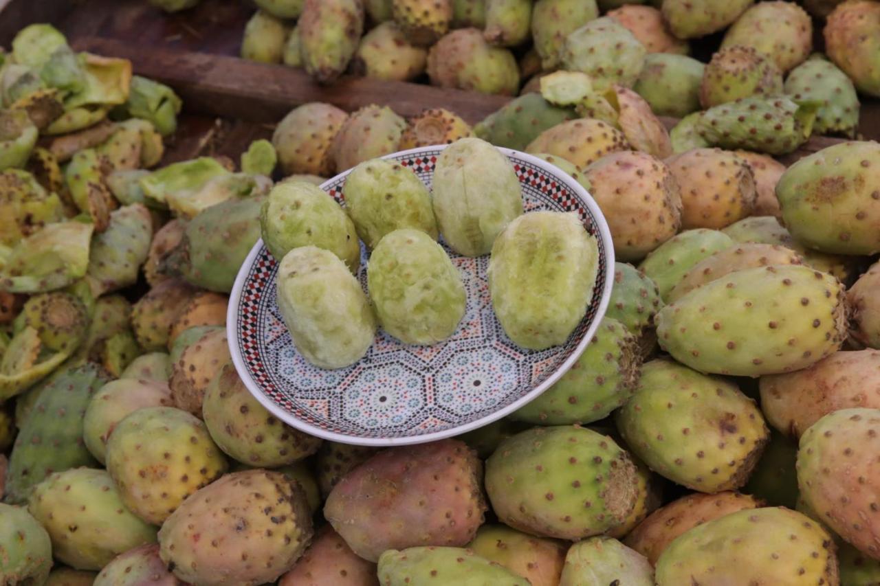 فندق Dar Rbab فاس المظهر الخارجي الصورة